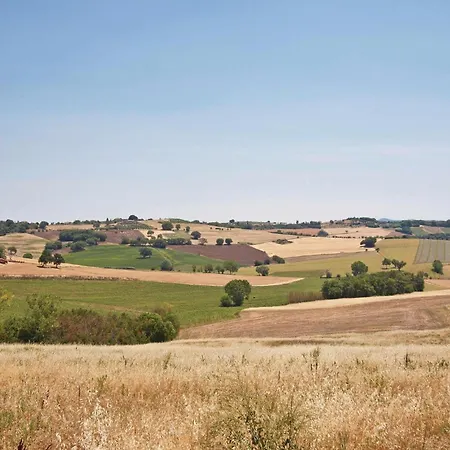Ferienhaus Cozy In Castiglione Del With Wifi Castiglione del Lago